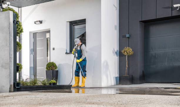 Best Roof Washing  in Geneva, IN